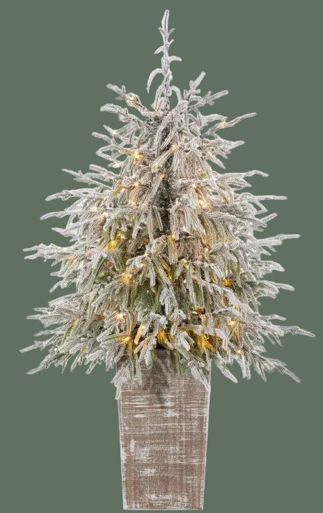 4' Potted Flocked Weeping Pine Tree