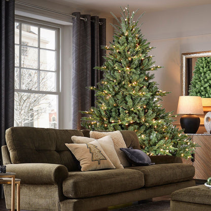 5-Foot Full-Bodied Pre-Lit Evergreen Christmas Tree with 350 Warm White Lights - Green