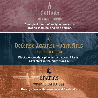 Every Man Jack Harry Potter Body Wash Gift Set – 3 Bottles, Imperfect Box