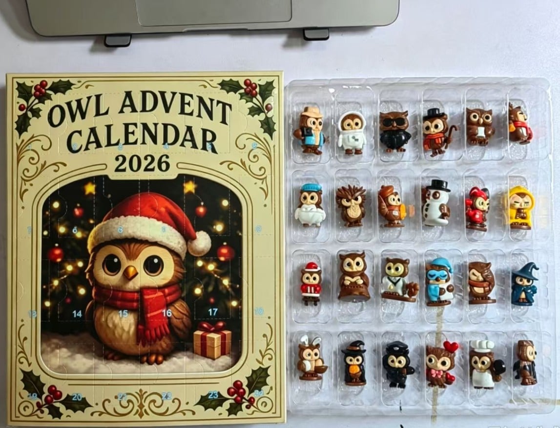 PREORDER ITEM (SEE DETAILS) - OWL THEMED 3D ACRYLIC ADVENT CALNDAR
