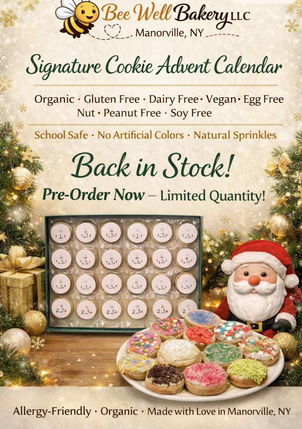 Gluten Free Cookie Advent Calendars, Dairy Free, Egg Free, Nut Free, Vegan, Christmas Tradition Countdown, Kids Holiday Gifts, Iced Sugar